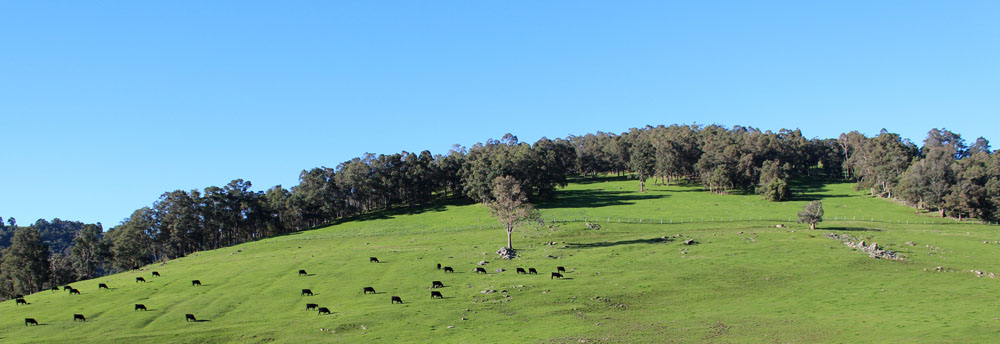 Certified Valuations Melbourne Regional and Rural Victoria Australia